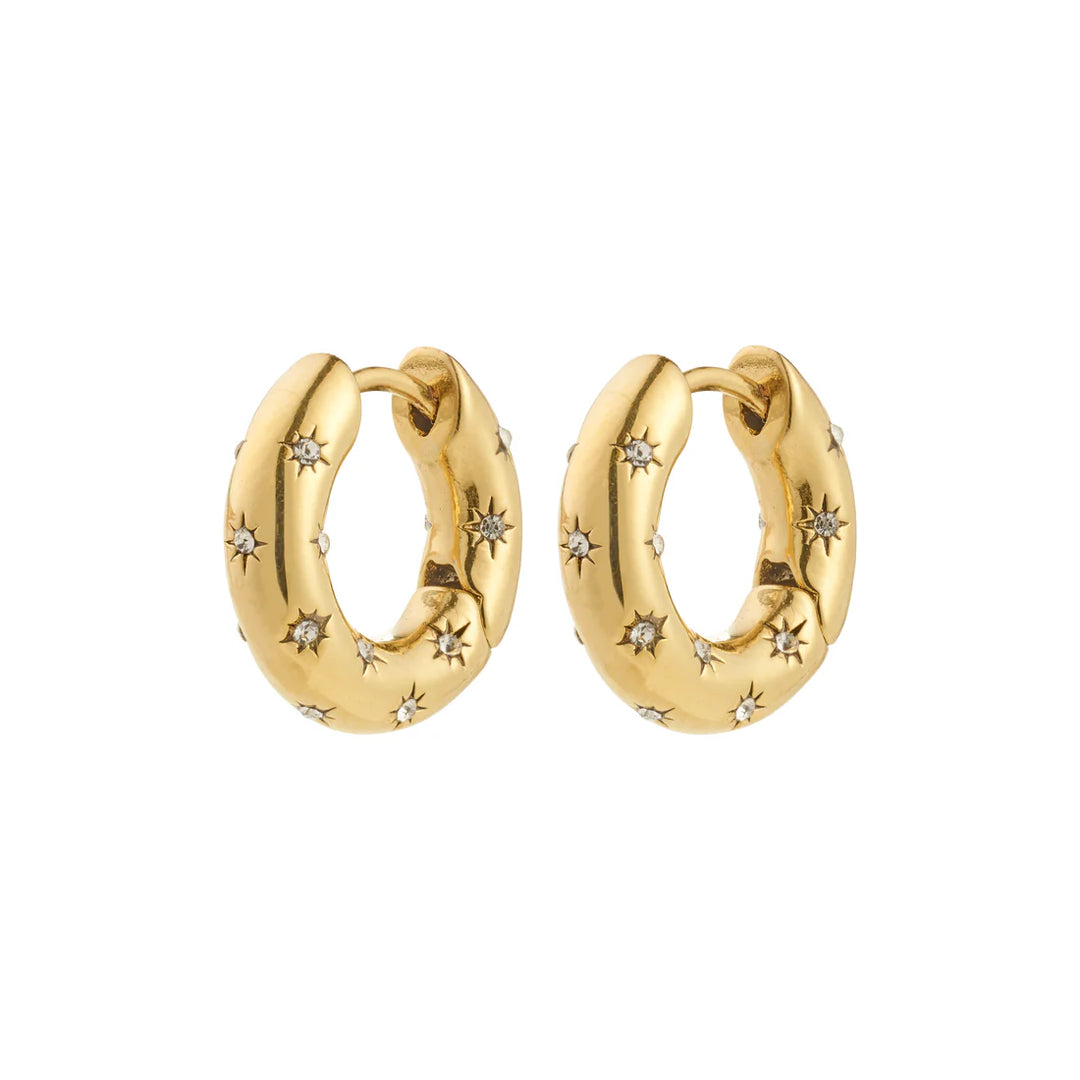 Neveah Hoop Earrings
