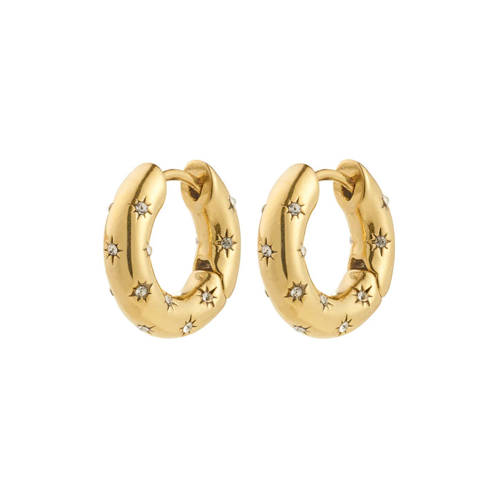Neveah Hoop Earrings