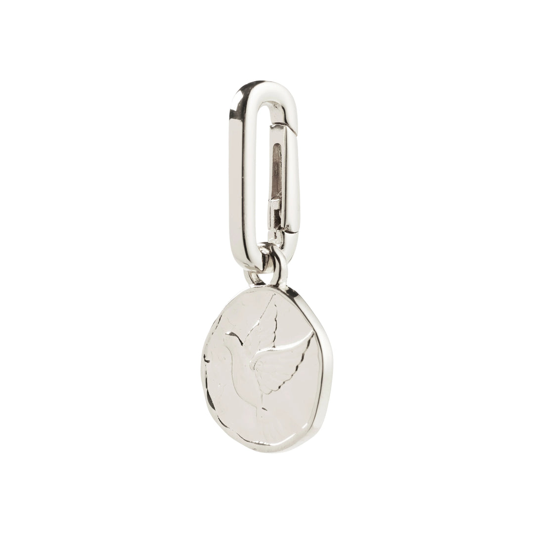 Charms Carabiner -Silver Plated