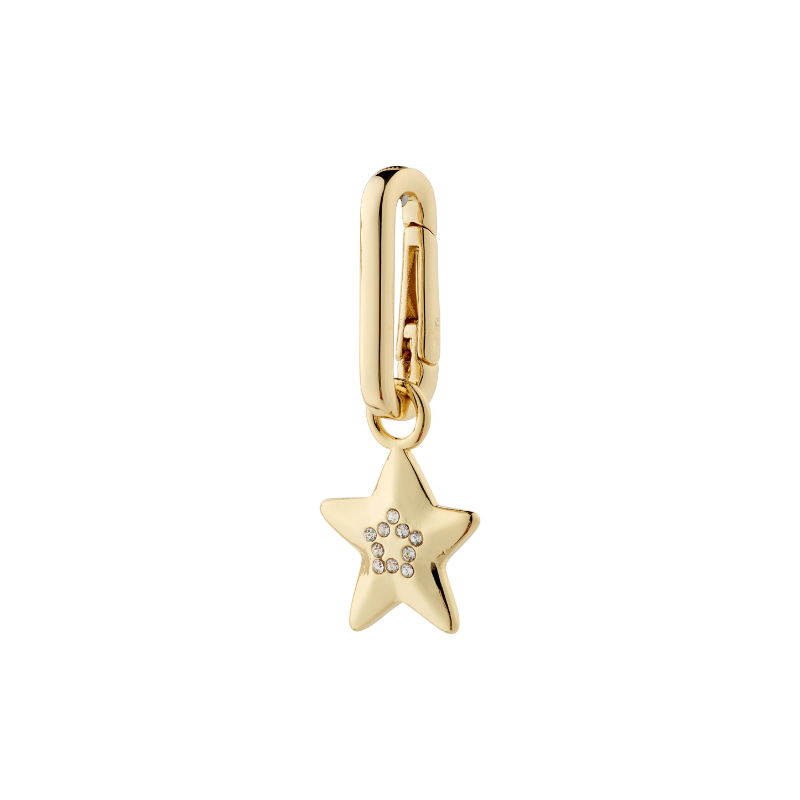 Charms Carabiner -Gold Plated