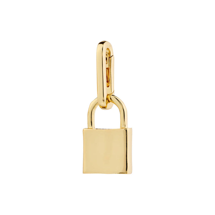 Charms Carabiner -Gold Plated