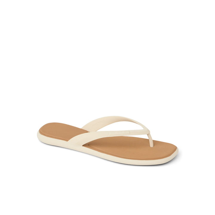 Water Willow Malibu Slide