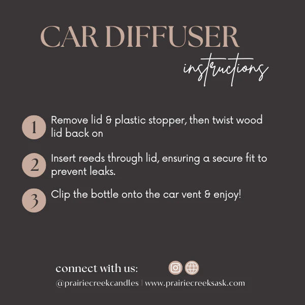 Cherry Cabana: Car Clip Diffuser