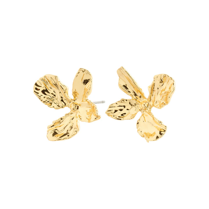 Dream Earrings