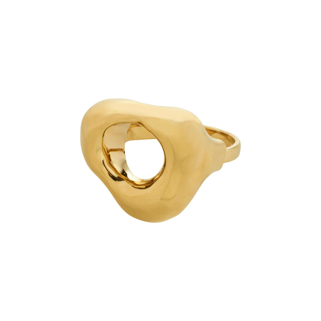Free Bird Ring