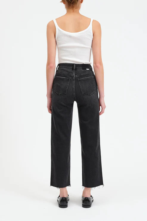 Pleaser HR Wide Ankle- Twilight