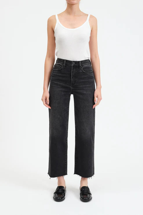 Pleaser HR Wide Ankle- Twilight
