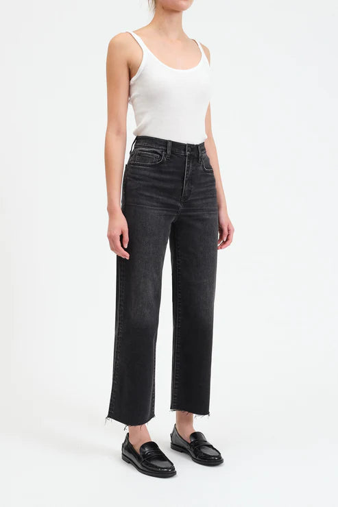 Pleaser HR Wide Ankle- Twilight